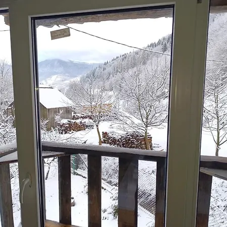 Pustirnik Ferienhaus Rachiw