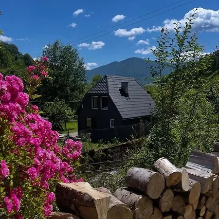 Holiday home Pustirnik *
